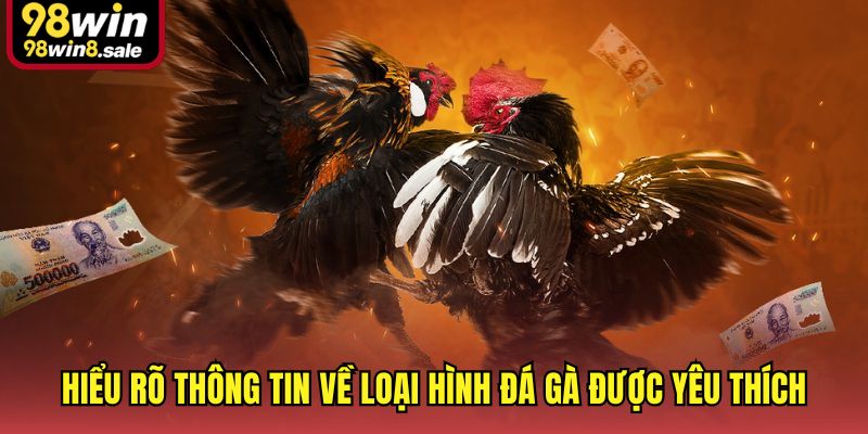 Hiểu rõ thông tin về loại hình đá gà được yêu thích