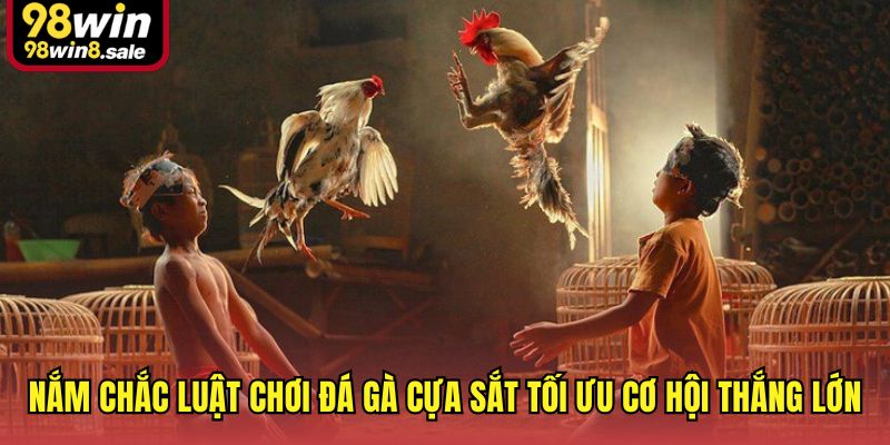 Nắm chắc luật chơi đá gà cựa sắt tối ưu cơ hội thắng lớn