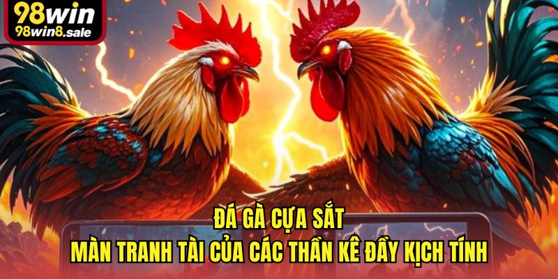 Đá gà cựa sắt