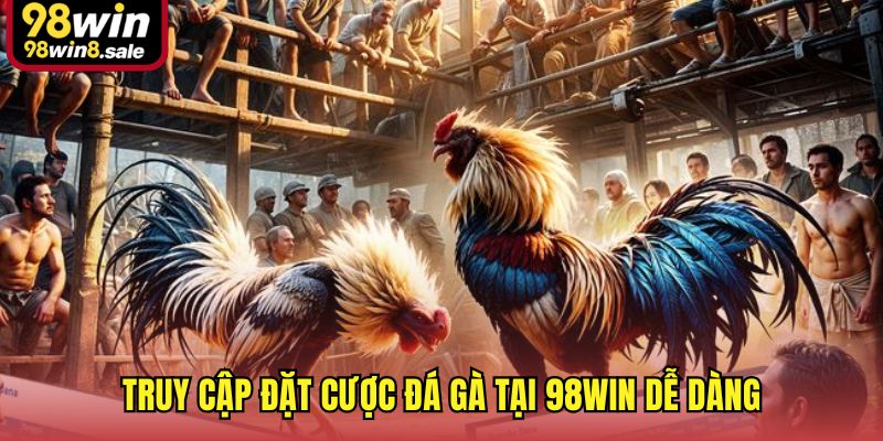 Truy cập đặt cược đá gà tại 98win dễ dàng