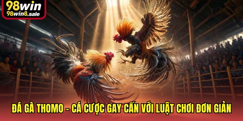 Đá gà Thomo