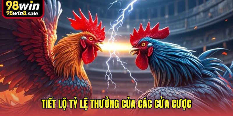 Tiết lộ tỷ lệ thưởng của các cửa cược
